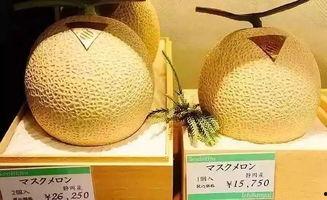 网红吃的网纹瓜,网纹瓜，口感与颜值并存的美味之旅